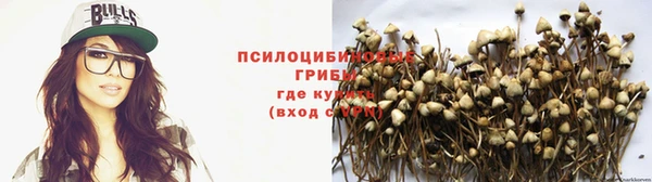 амф Вязники