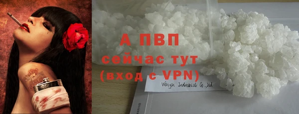 ешки Вязьма