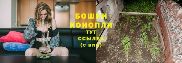 герыч Вяземский