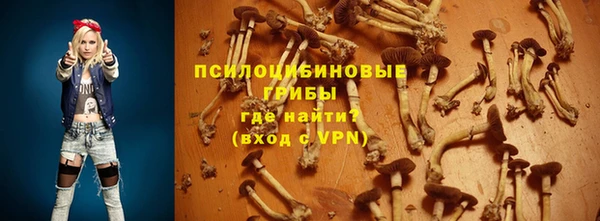 амф Вязники