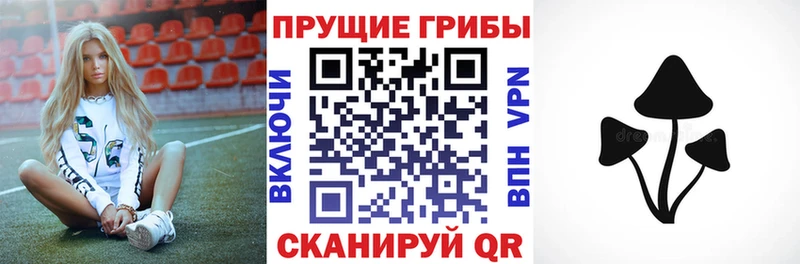 Галлюциногенные грибы MAGIC MUSHROOMS  Цоци-Юрт 